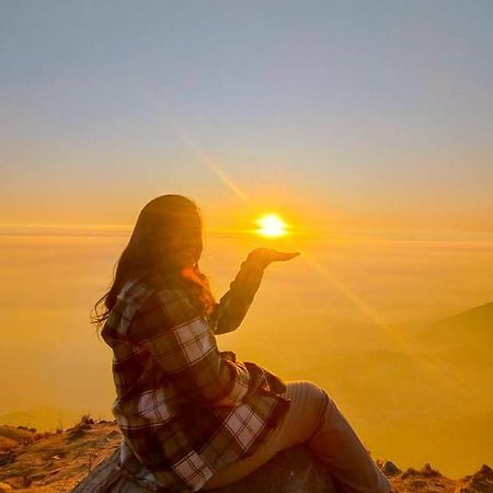 ホテル Triund Trek ダラムシャーラー エクステリア 写真